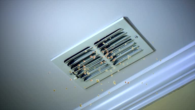 Best HVAC Maintenance and Cleaning  in North Hills, NY