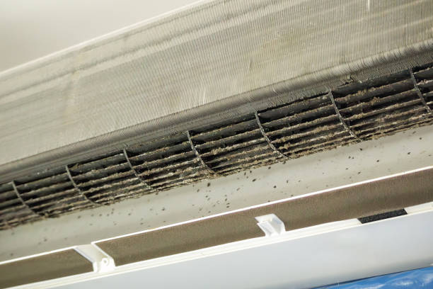 Best Best Air Duct Cleaning Near Me  in North Hills, NY