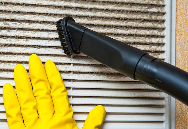 Best Air Duct Cleaning Company Near Me  in North Hills, NY
